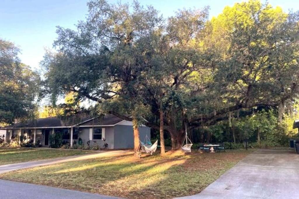 Nature Coast Getaway #1 - Cozy 2 Bedroom Homosassa Exterior foto