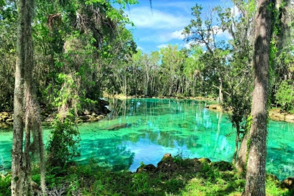Nature Coast Getaway #1 - Cozy 2 Bedroom Homosassa Exterior foto